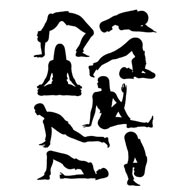 Standing Yoga Seal (Dandayamana Yoga Mudrasana) – Yoga Poses Guide